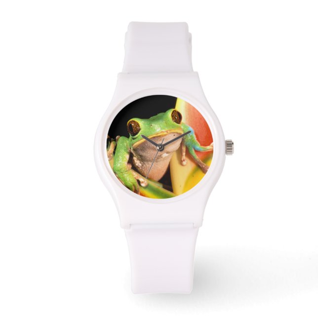 Sydamerika, Ecuador, Amazonas. Trädlevande groda Armbandsur (Framsida)