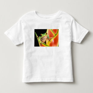 Sydamerika, Ecuador, Amazonas. Trädlevande groda Tee Shirt