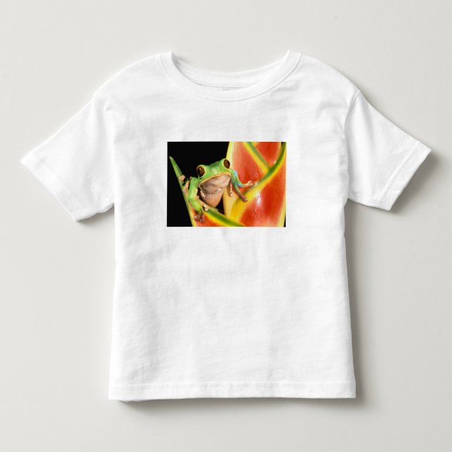 Sydamerika, Ecuador, Amazonas. Trädlevande groda Tee Shirt (Framsida)