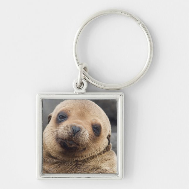 Sydamerika, Ecuador, Galapagosöarna Fyrkantig Silverfärgad Nyckelring (Framsidan)