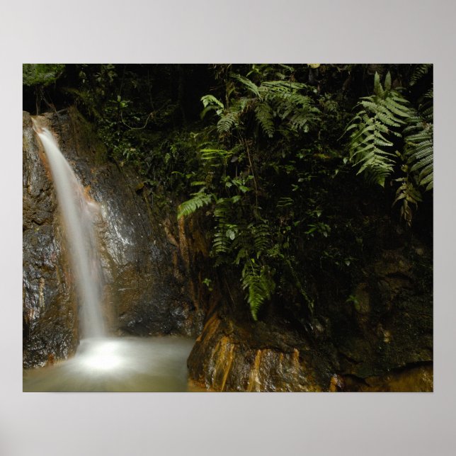 Sydamerika, Ecuador, östrans lutning Poster (Framsidan)