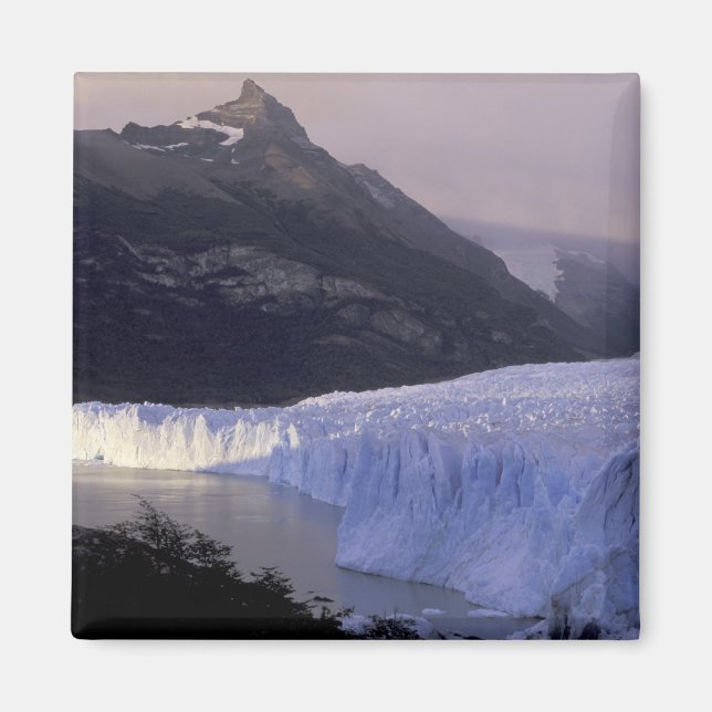 Sydamerika, Patagonia, Argentina Park Magnet (Framsidan)