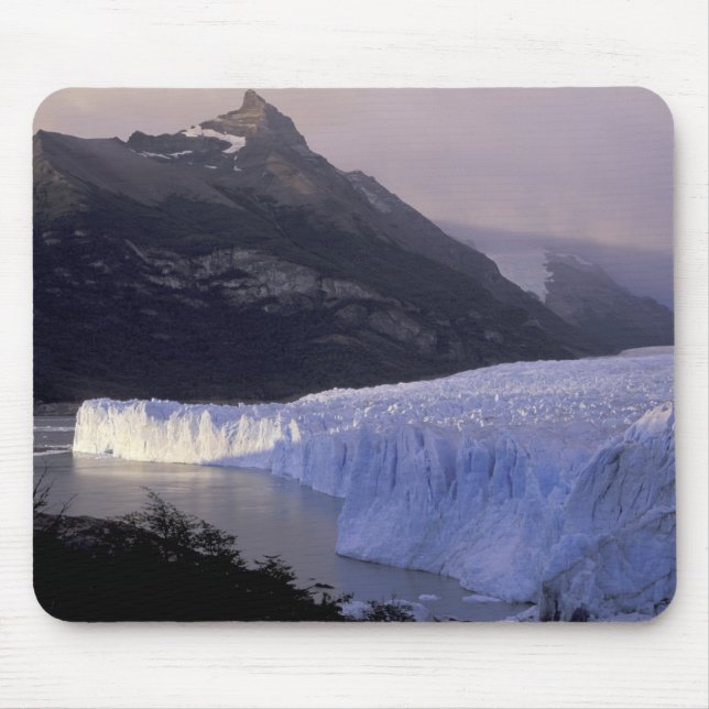 Sydamerika, Patagonia, Argentina Park Musmatta (Framsidan)