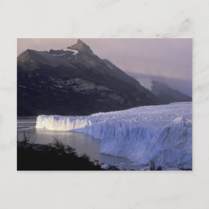 Sydamerika, Patagonia, Argentina Park Vykort