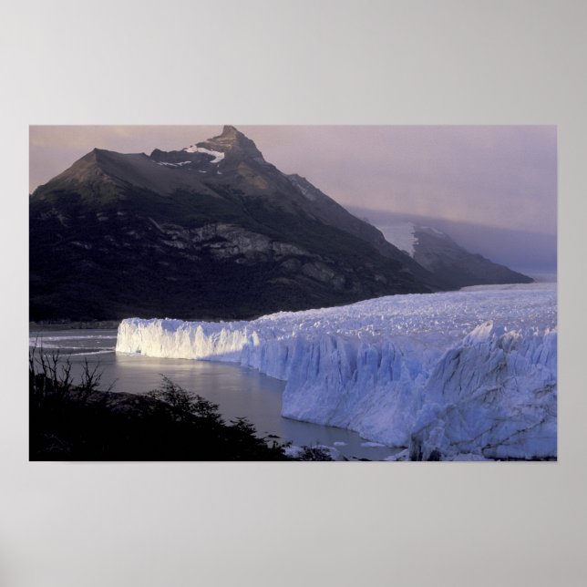 Sydamerika, Patagonien, Argentina Parque Poster (Framsidan)