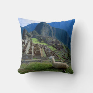 Sydamerika, Peru. En lama vilar på en kulle Kudde