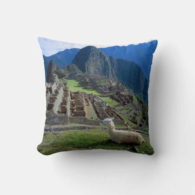 Sydamerika, Peru. Lama vilar på backe Kudde (Framsida)