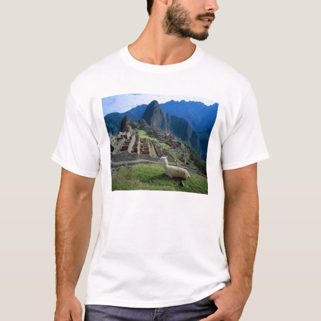 Sydamerika, Peru. Lama vilar på backe Tee Shirt (Framsida)