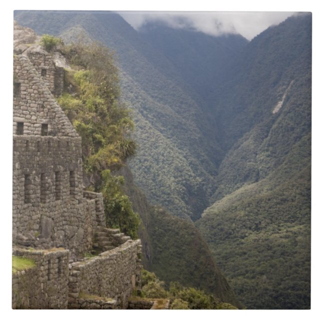 Sydamerika, Peru, Machu Picchu. Stenyper Kakelplatta (Framsidan)