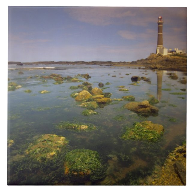 Sydamerika, Uruguay, Punta Jose Ignacio, Kakelplatta (Framsidan)