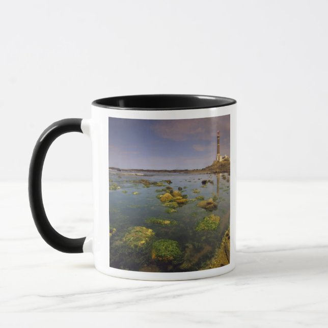 Sydamerika, Uruguay, Punta Jose Ignacio, Mugg (Vänster)