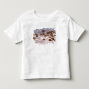Sydamerika, Venezuela, Llano-regionen. T-shirt