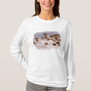 Sydamerika, Venezuela, Llano-regionen. Tee Shirt