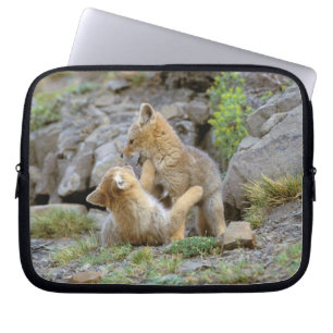 Sydamerikansk grå räv (Lycalopex griseus) par 2 Laptop Fodral