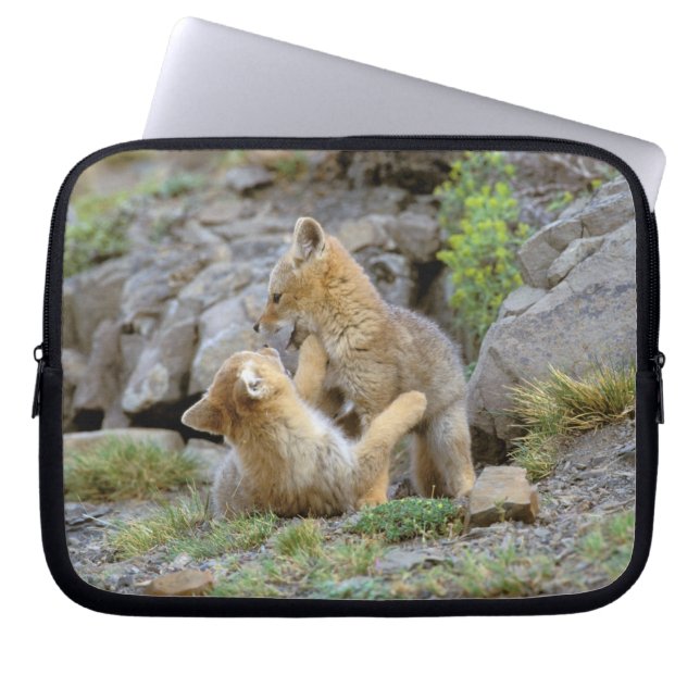 Sydamerikansk grå räv (Lycalopex griseus) par 2 Laptop Fodral (Framsidan)