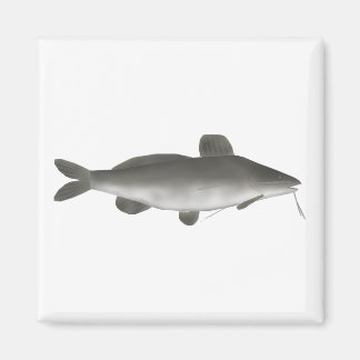 Sydamerikansk malartad fisk magnet