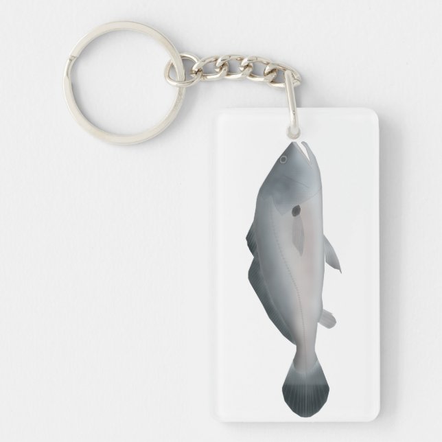 Sydamerikansk silvertrumfisk (Framsidan)
