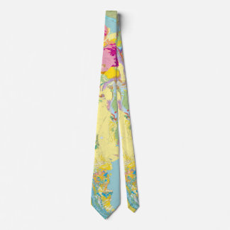 Sydamerikas Geologic Karta Slips