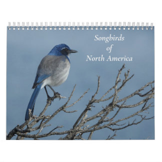 Sydamerikas sjöfåglar kalender