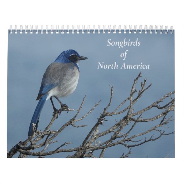 Sydamerikas sjöfåglar kalender (Omslag)