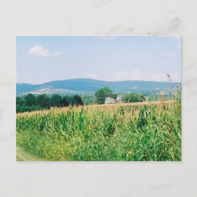 Sydbergsvy, Turnernas karta Vykort (Framsida)