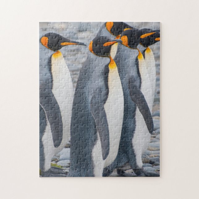 Sydgeorgien. Kung penguiner Pussel (Vertikal)