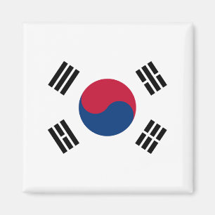 Sydkorea flagga magnet