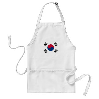 Sydkoreansk flagga förkläde