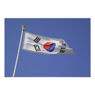Sydkoreansk flagga fototryck