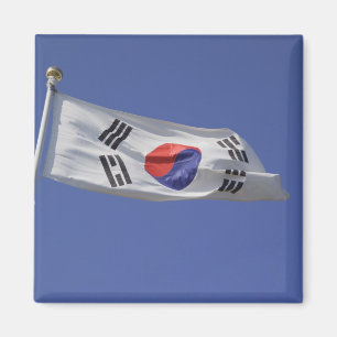 Sydkoreansk flagga magnet