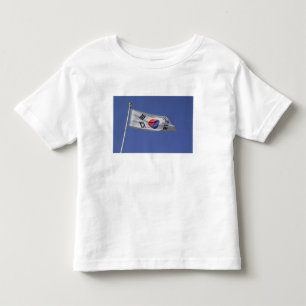 Sydkoreansk flagga tee shirt