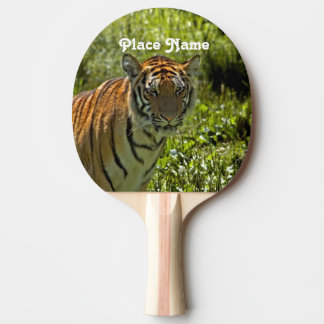 Sydkoreansk tiger pingisracket