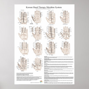 Sydkoreanska handjur (Acupuncture Meridian System) Poster