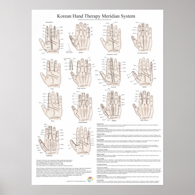 Sydkoreanska handjur (Acupuncture Meridian System) Poster (Framsidan)