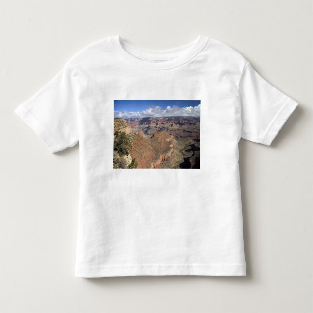Sydkoreas syn på Grand Canyon, Arizona. T-shirt (Framsida)