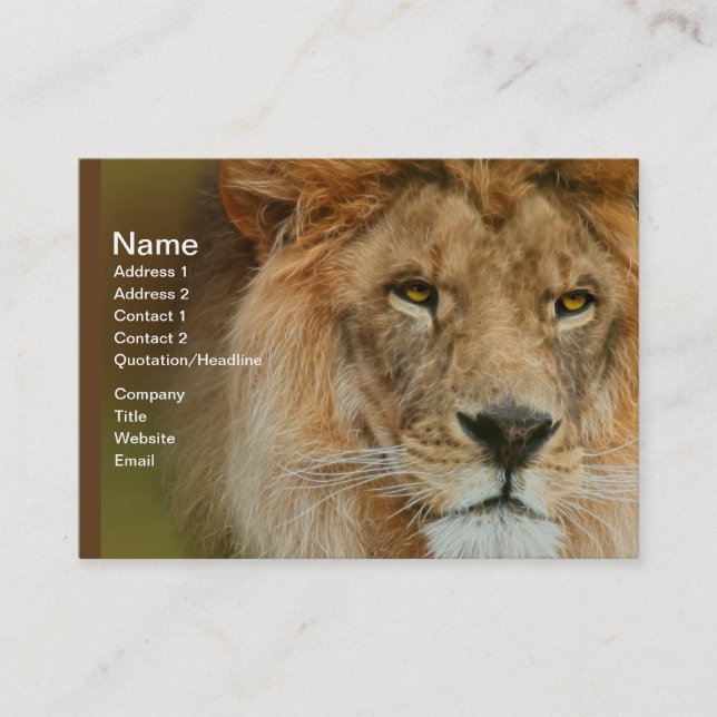 Sydlig Afrika Majestic Lejon Close up up Visitkort (Framsida)