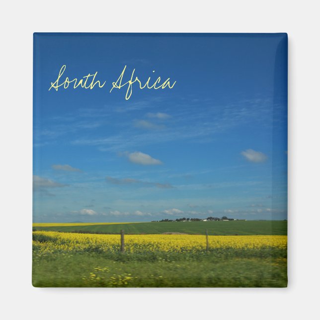 Sydlig Afrika ZA Canola Fält Liggande View Magnet (Framsidan)