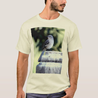 Sydlig härmfågelT-tröja T-shirt