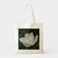 Sydlig Magnoliablom