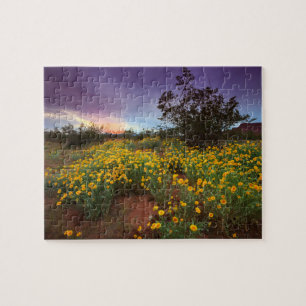 Sydlig solnedgång för Utah ökenvildblommar Pussel