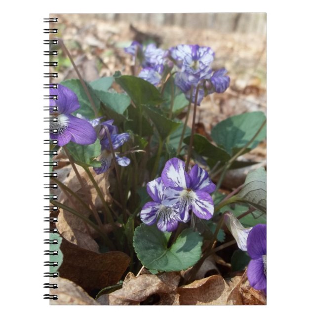 Sydlig Wood Violet Anteckningsbok (Framsidan)