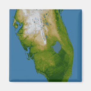 Sydliga Florida Magnet
