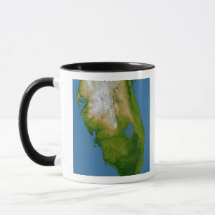 Sydliga Florida Mugg