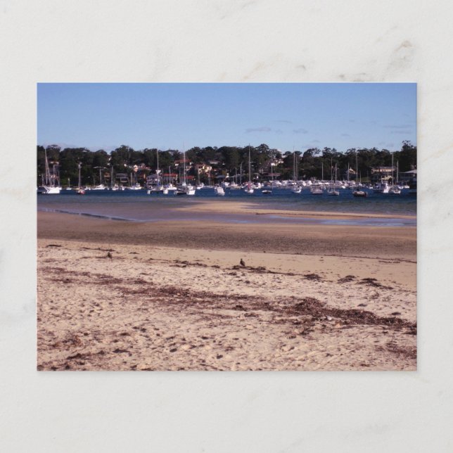 Sydney Australien Ursprunglig Resefotografering Vykort (Framsida)