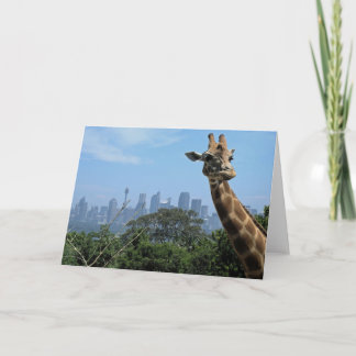Sydney Giraffe Australia Blank Greeting Card Kort