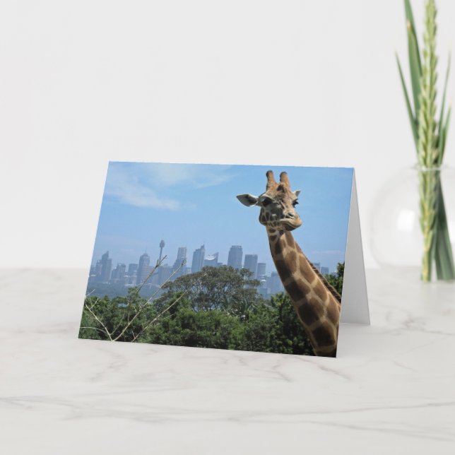 Sydney Giraffe Australia Blank Greeting Card Kort (Framsida)