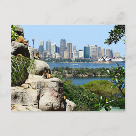 Sydney Harbour från vykortet Zoo Vykort