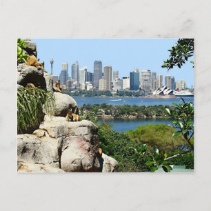 Sydney Harbour från vykortet Zoo Vykort