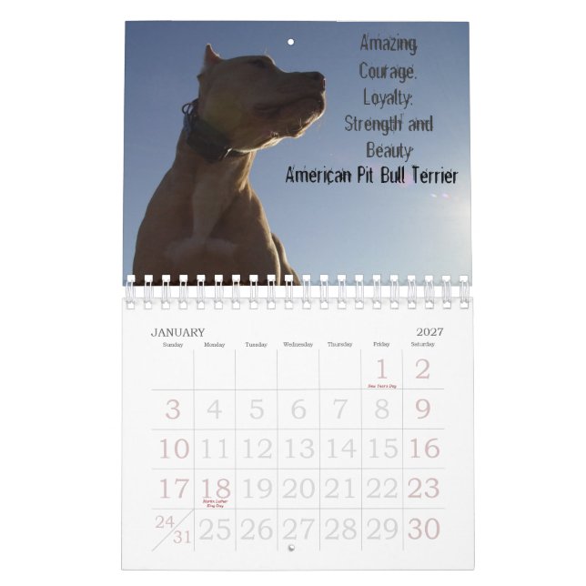 Sydney och Ziggi 2009 Kalender (Jan 2027)