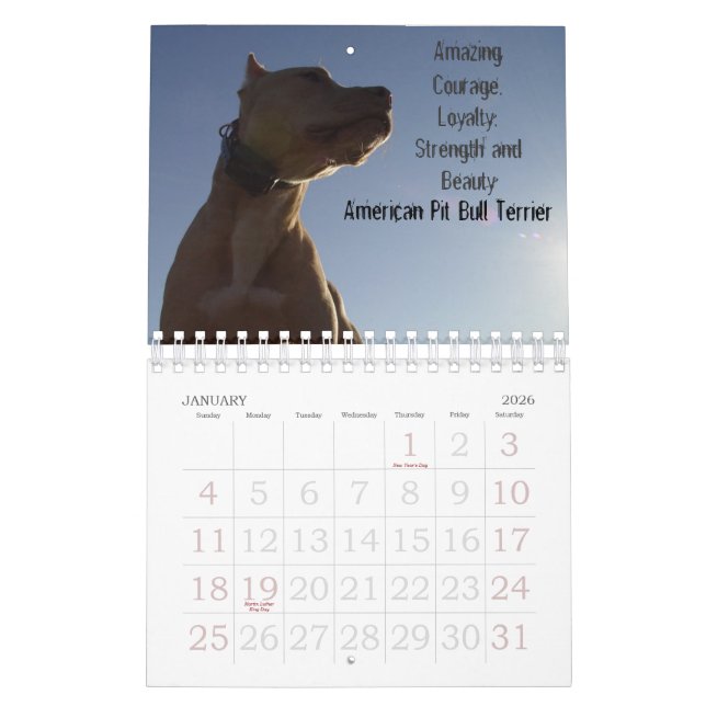 Sydney och Ziggi 2009 Kalender (Jan 2026)